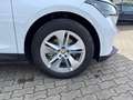 Skoda Enyaq iV 80 (ab MJ23.2) +SUITE+ADVANCED & ALARM+ Weiß - thumbnail 5