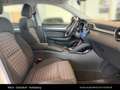 MG ZS ZE EV Comfort 50kw Standart Reichweite Weiß - thumbnail 25