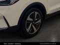 MG ZS ZE EV Comfort 50kw Standart Reichweite Weiß - thumbnail 11