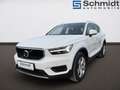 Volvo XC40 T2 Momentum Pro Geartronic Weiß - thumbnail 1