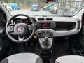 Fiat Panda 1.2 LOUNGE AIRCO HOGE INSTAP Rojo - thumbnail 4