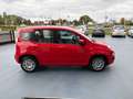 Fiat Panda 1.2 LOUNGE AIRCO HOGE INSTAP Rojo - thumbnail 14