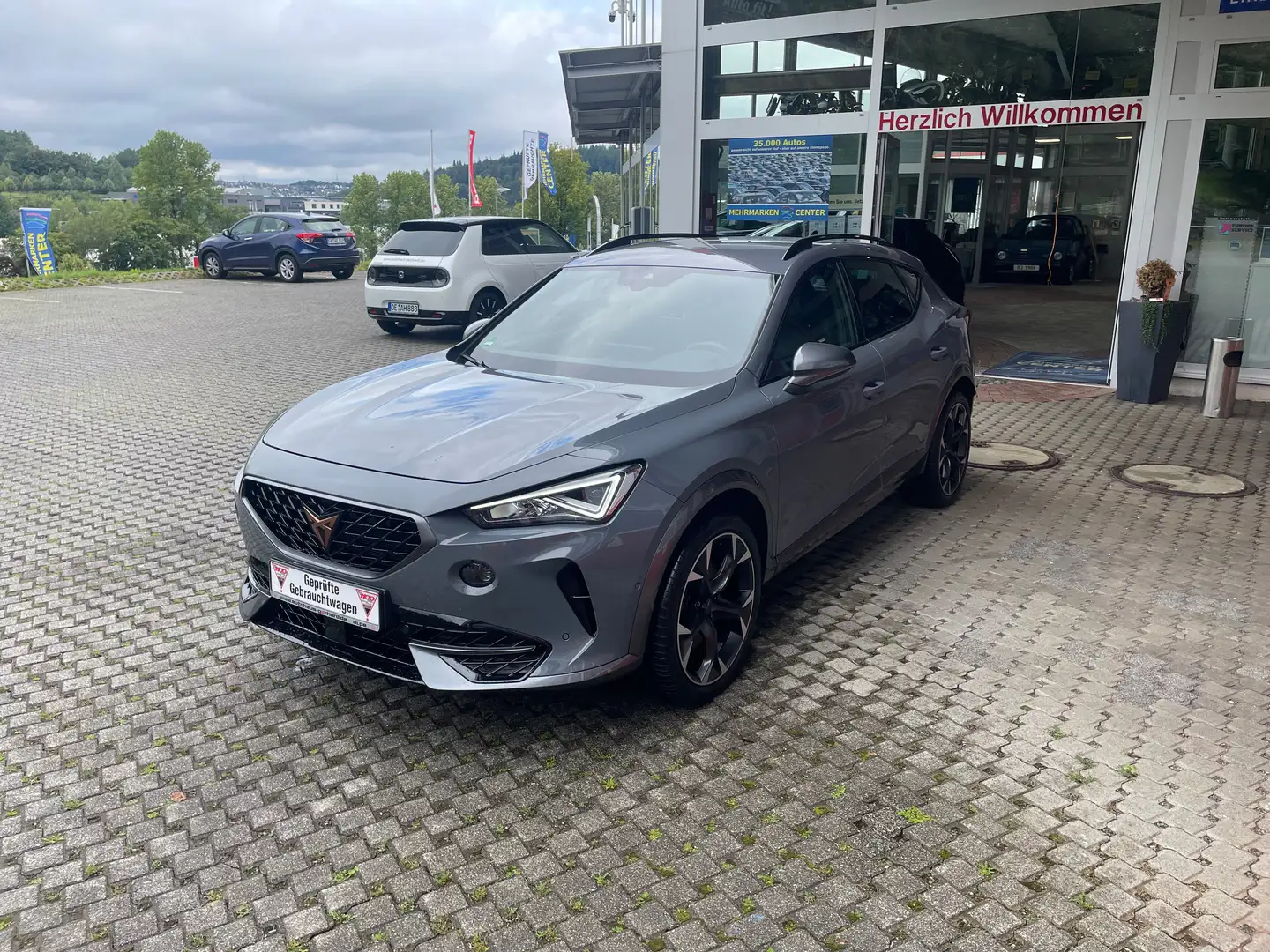 CUPRA Formentor VZ 2.0 TSI 4Drive DSG Grau - 1