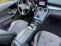 Mercedes-Benz C 220 C Cabrio C 220 d 4Matic HU 10.2027 Silber - thumbnail 17