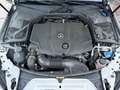 Mercedes-Benz C 220 C Cabrio C 220 d 4Matic HU 10.2027 Silber - thumbnail 34