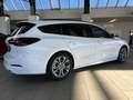 Ford Focus Turnier ST-Line Bianco - thumbnail 6