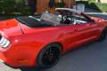 Ford Mustang Mustang 5,0 Ti-VCT V8 GT Cabrio Aut. GT Rot - thumbnail 12