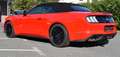 Ford Mustang Mustang 5,0 Ti-VCT V8 GT Cabrio Aut. GT Rot - thumbnail 3