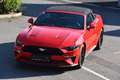 Ford Mustang Mustang 5,0 Ti-VCT V8 GT Cabrio Aut. GT Rot - thumbnail 2