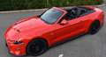 Ford Mustang Mustang 5,0 Ti-VCT V8 GT Cabrio Aut. GT Rot - thumbnail 1