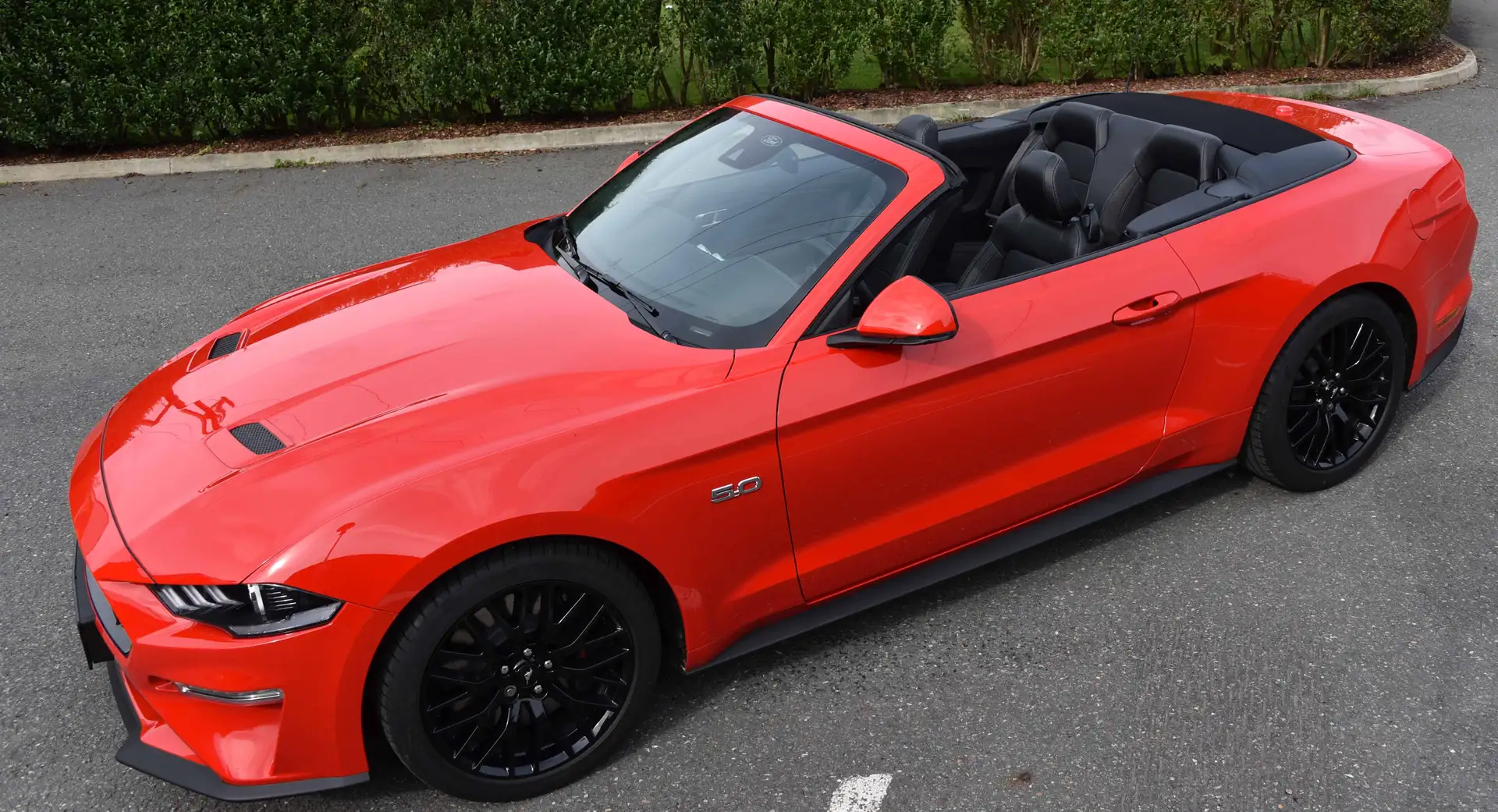 Ford Mustang Mustang 5,0 Ti-VCT V8 GT Cabrio Aut. GT Rot - 1