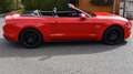 Ford Mustang Mustang 5,0 Ti-VCT V8 GT Cabrio Aut. GT Rot - thumbnail 7