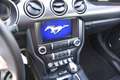 Ford Mustang Mustang 5,0 Ti-VCT V8 GT Cabrio Aut. GT Rot - thumbnail 20