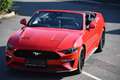Ford Mustang Mustang 5,0 Ti-VCT V8 GT Cabrio Aut. GT Rot - thumbnail 11