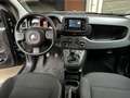 Fiat Panda Panda III 2021 1.0 firefly hybrid s AZIENDALE IVA Schwarz - thumbnail 12