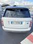 Land Rover Range Rover 3.0 TDV6 Autobiography Euro6B - thumbnail 4