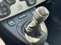 Fiat Panda 1.2 Fire 70 City Cross Blau - thumbnail 15