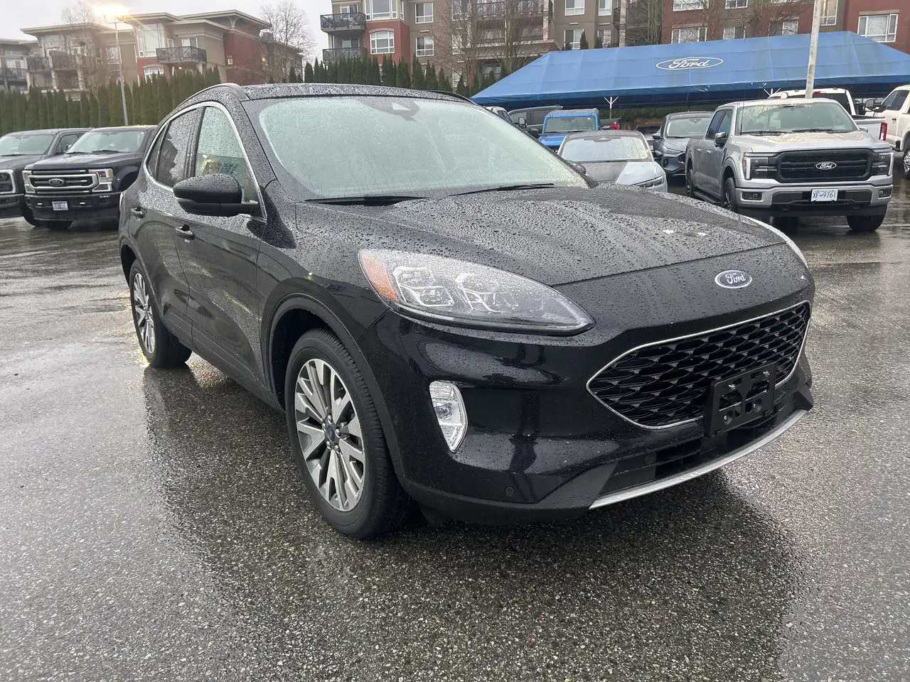 Ford Escape снимка Ford Escape