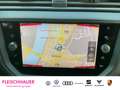 SEAT Ibiza 1.0 TSI XCellence Navi Soundsystem LED Apple CarPl Blau - thumbnail 12