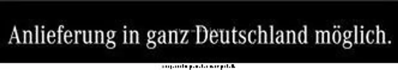 Mercedes-Benz E 220 d 4MATIC T All-Terrain AIRMATIC AHK DISTRO 9