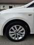 SEAT Ibiza Chili&Style 1,6 TDI CR Weiß - thumbnail 7