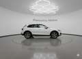 Audi Q5 40 TDI 204 CV quattro S tronic Business Bianco - thumbnail 4