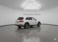 Audi Q5 40 TDI 204 CV quattro S tronic Business Bianco - thumbnail 6