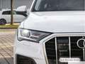 Audi Q7 55 TFSI e S line Luftfed./AHK/ACC/Virtual Weiß - thumbnail 10