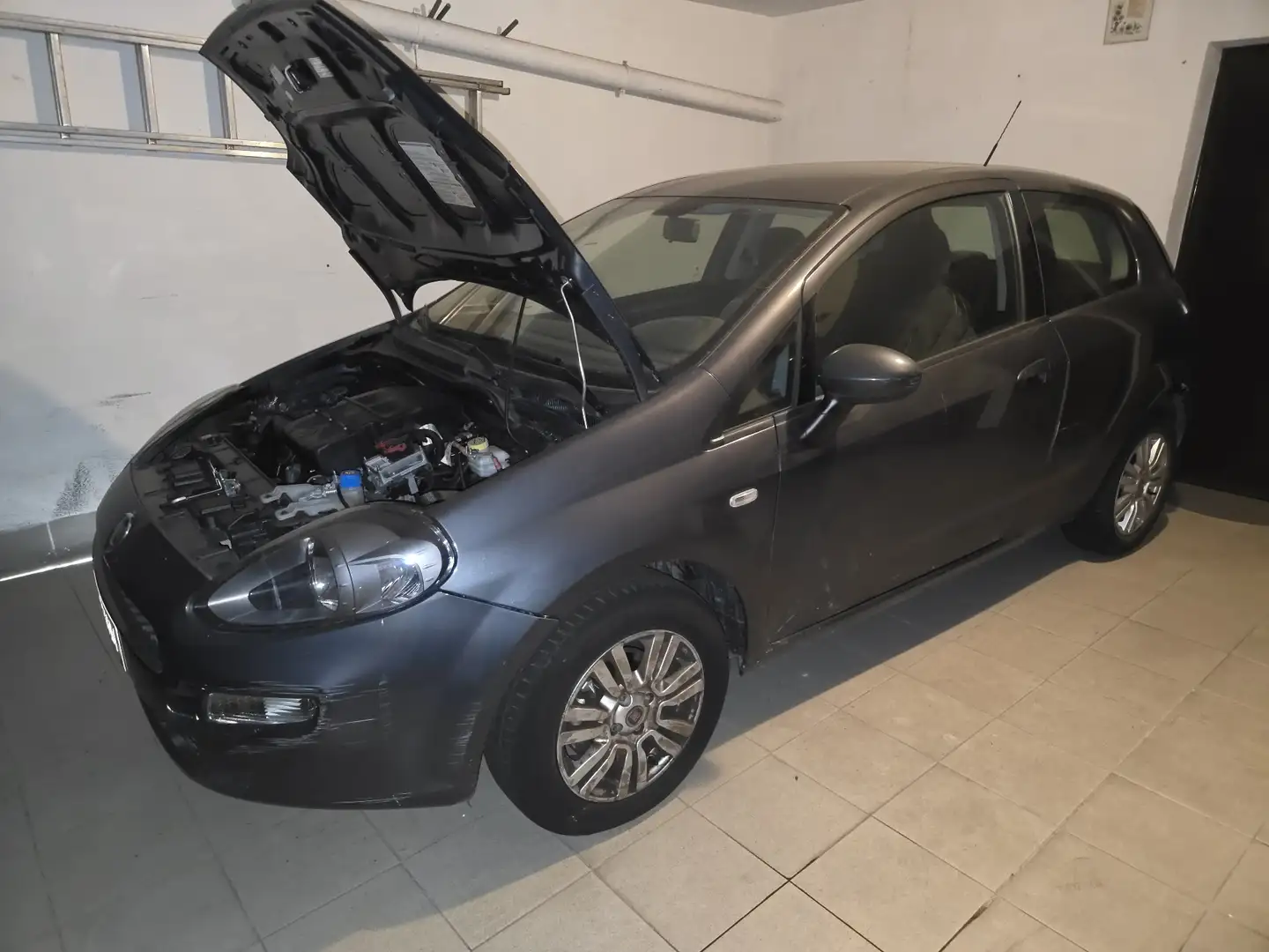 Fiat Punto 3p 1.2 Street (easy) - 2