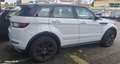 Land Rover Range Rover Evoque 2.0 td4 HSE Dynamic 150cv - thumbnail 3