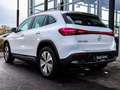 Mercedes-Benz EQA 250 Progressive-Advanced/AHK/Kamera/LED/Flex Alb - thumbnail 3