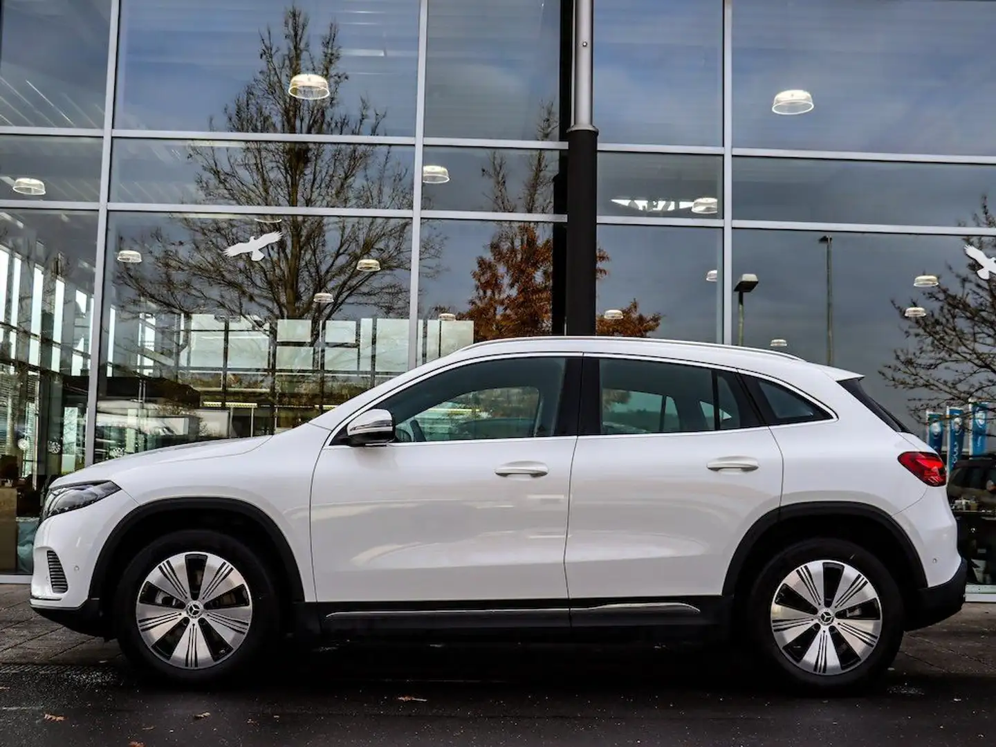 Mercedes-Benz EQA 250 Progressive-Advanced/AHK/Kamera/LED/Flex Белый - 2
