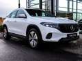 Mercedes-Benz EQA 250 Progressive-Advanced/AHK/Kamera/LED/Flex Белый - thumbnail 9
