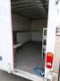 Renault Master Bianco - thumbnail 6