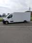 Renault Master Bianco - thumbnail 11