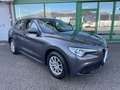 Alfa Romeo Stelvio 2.2 Turbodiesel 160 CV AT8 RWD PELLE TOTALE Grau - thumbnail 1