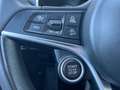 Alfa Romeo Stelvio 2.2 Turbodiesel 160 CV AT8 RWD PELLE TOTALE Grau - thumbnail 17