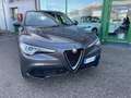 Alfa Romeo Stelvio 2.2 Turbodiesel 160 CV AT8 RWD PELLE TOTALE Grau - thumbnail 3