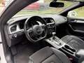 Audi A5 Sportback 2.0 TDI S-LINE+|SHZ|XENON|DSP|TOP| Fehér - thumbnail 14