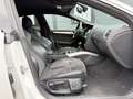 Audi A5 Sportback 2.0 TDI S-LINE+|SHZ|XENON|DSP|TOP| Fehér - thumbnail 19
