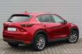 Mazda CX-5 SKY-G 194 6AG KANGEI-Sondermodell NAV Red - thumbnail 6