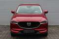 Mazda CX-5 SKY-G 194 6AG KANGEI-Sondermodell NAV Rojo - thumbnail 3