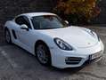 Porsche Cayman Cayman 2,7 DSG Weiß - thumbnail 3