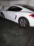 Porsche Cayman Cayman 2,7 DSG Weiß - thumbnail 24