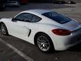 Porsche Cayman Cayman 2,7 DSG Weiß - thumbnail 6