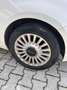 Fiat 500 1.2 easypower Pop Star Gpl 69cv - thumbnail 10