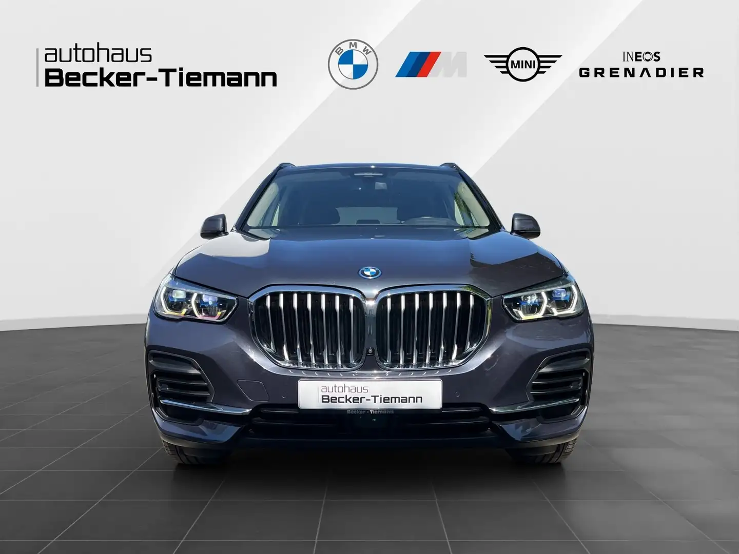 BMW X5 xDrive45e Leder HUD Laser DrivAss Prof.ParkAss+ Grau - 2