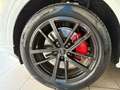 Audi Q5 Q5 2.0 tdi mhev+ S line quattro 204 CV Bianco - thumbnail 10