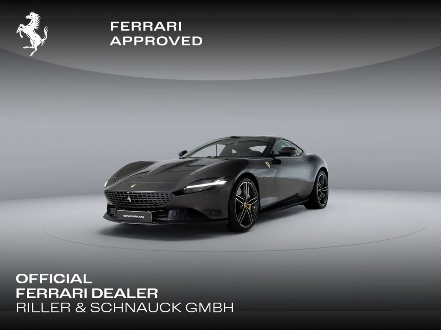Ferrari Roma >CANNA DI FUCILE*Sqaure Pattern*FULL PPF Gris - 1