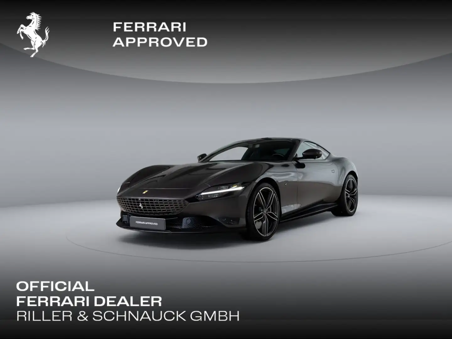 Ferrari Roma >CANNA DI FUCILE*Sqaure Pattern*FULL PPF Grau - 1